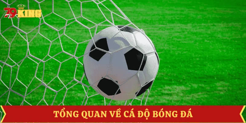 luat-choi-ca-do-bong-da-tong-quan