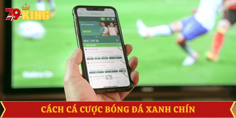 cach-ca-cuoc-bong-da