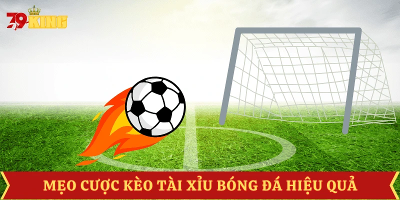 cach-cuoc-keo-tai-xiu-bong-da