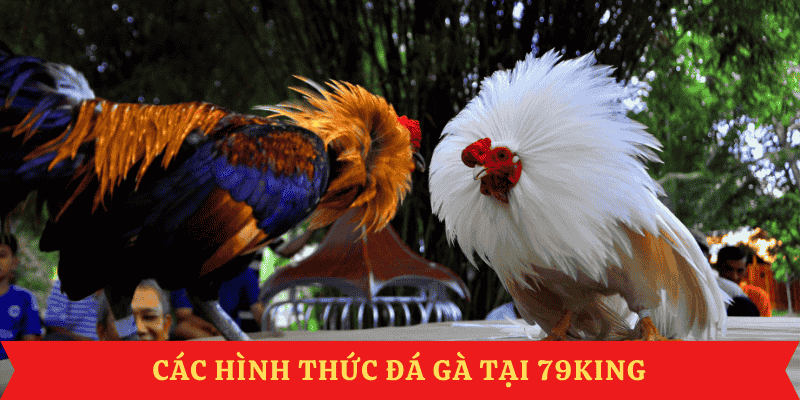 da-ga-79king-cac-hinh-thuc