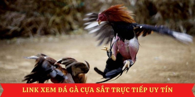 da-ga-cua-sat-link-xem-an-toan