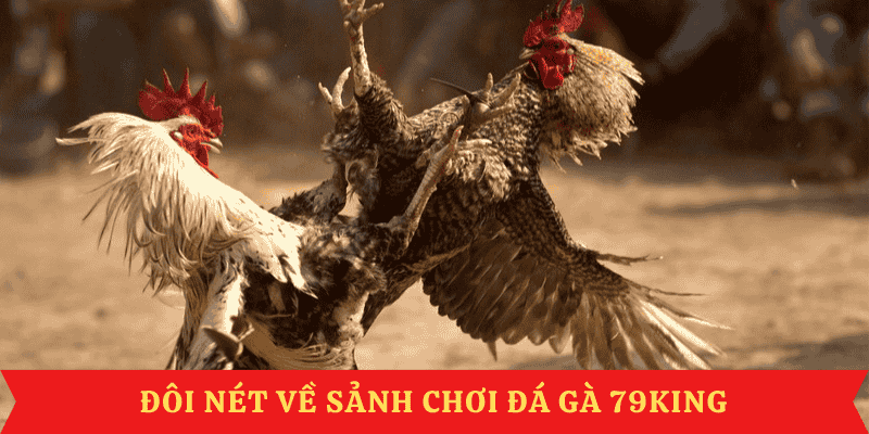 doi-net-san-choi-da-ga-79king
