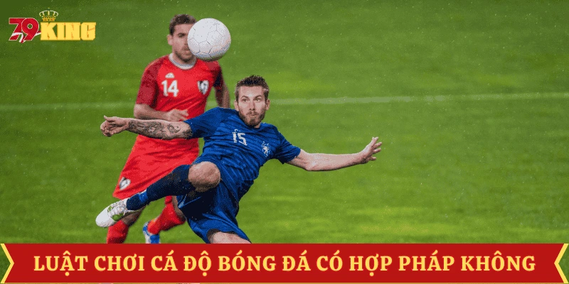 luat-choi-ca-do-bong-da-co-hop-phap