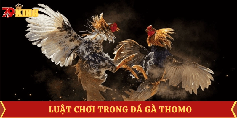 luat-choi-da-ga-thomo