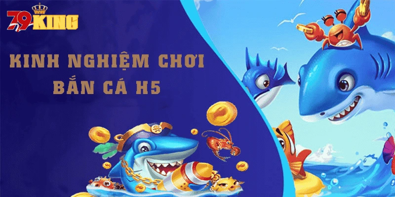 meo-choi-ban-ca-h5