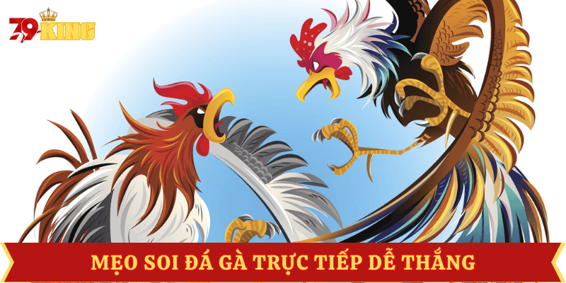 meo-soi-da-ga-truc-tiep