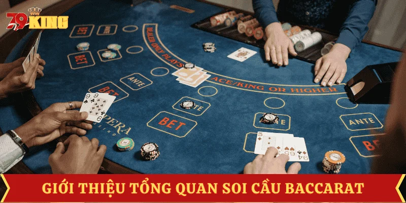 soi-cau-baccarat-tong-quan