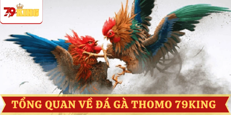 tong-quan-da-ga-thomo-79king